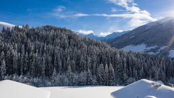 A snow-covered mountain landscape with dense forests and a clear sky.