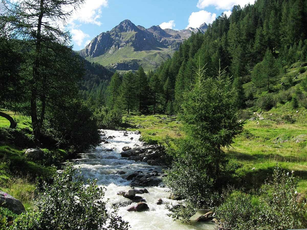 A river flowing through a forested valley with mountains in the background.