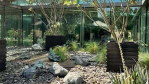 A modern outdoor area with a glass building in the background, featuring a rock garden and various potted plants. - The Creekside Hotel Dubai an Accor Hotel (Dubai)