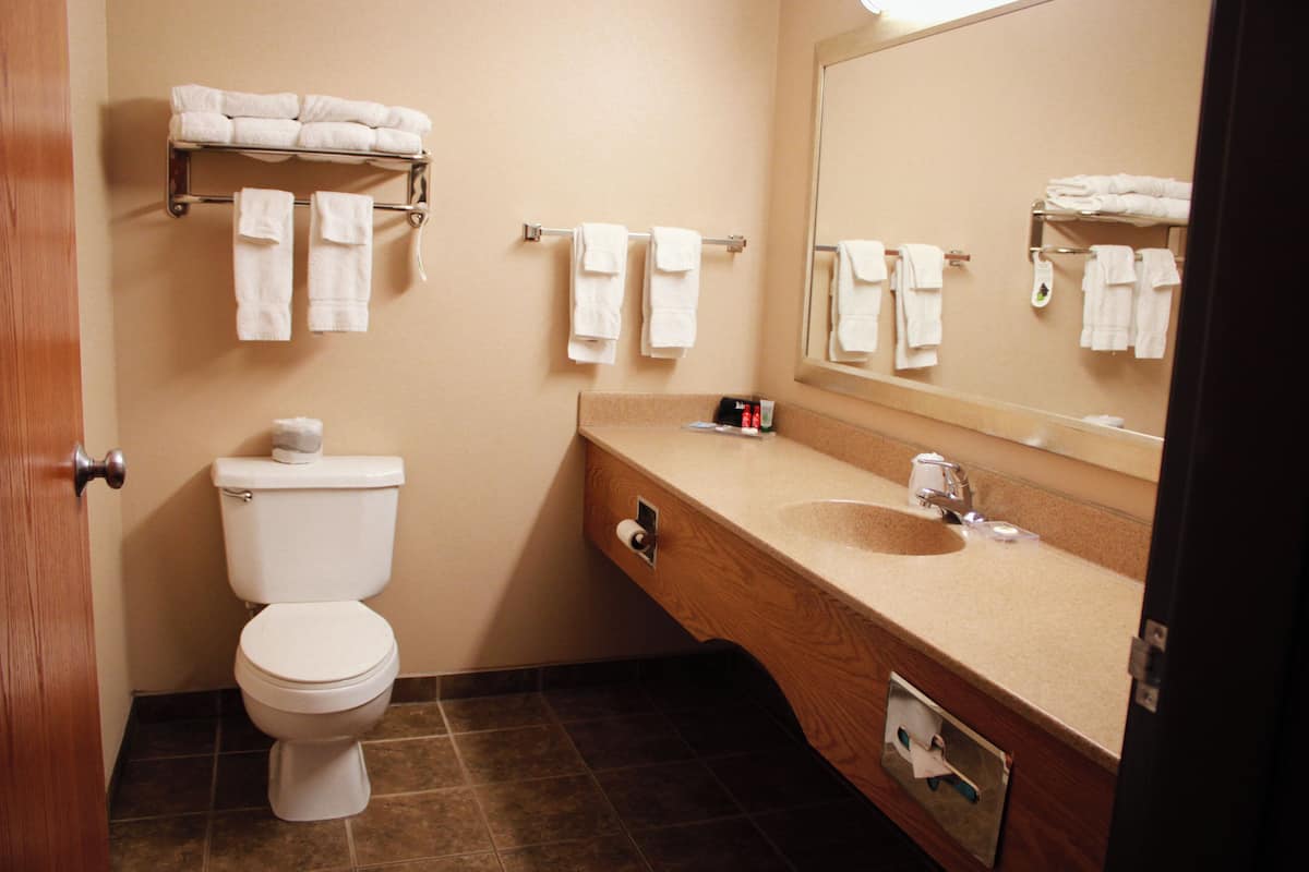 combined shower/bathtub, free toiletries, hair dryer, towels