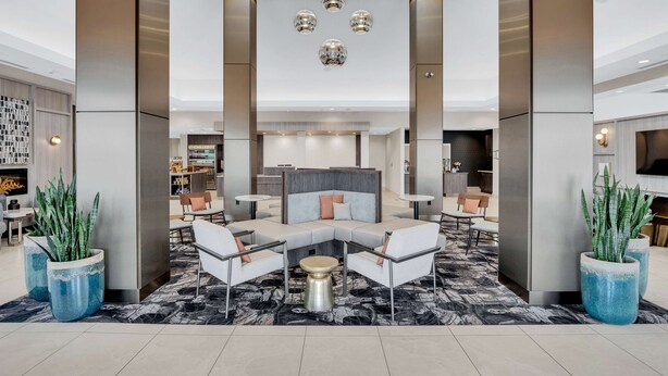 A modern lobby with a seating area, a reception desk, and a large plant.