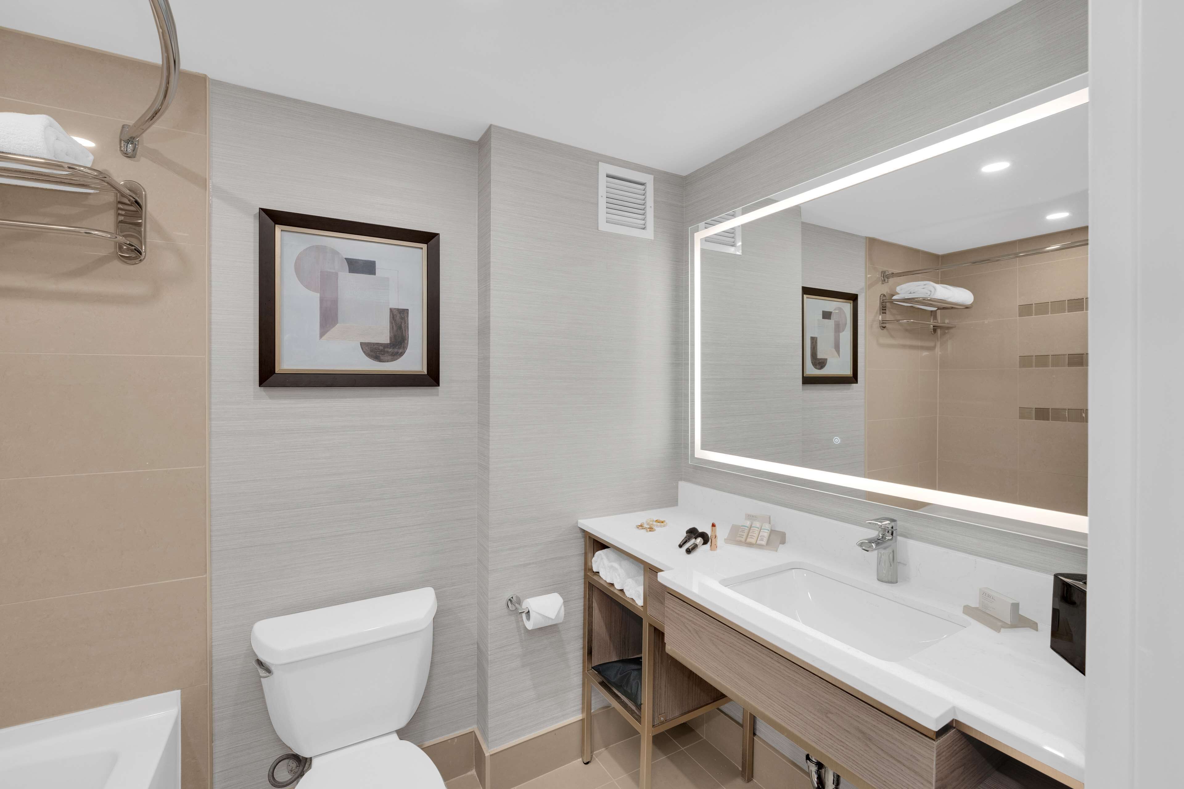 combined shower/bathtub, free toiletries, hair dryer, towels