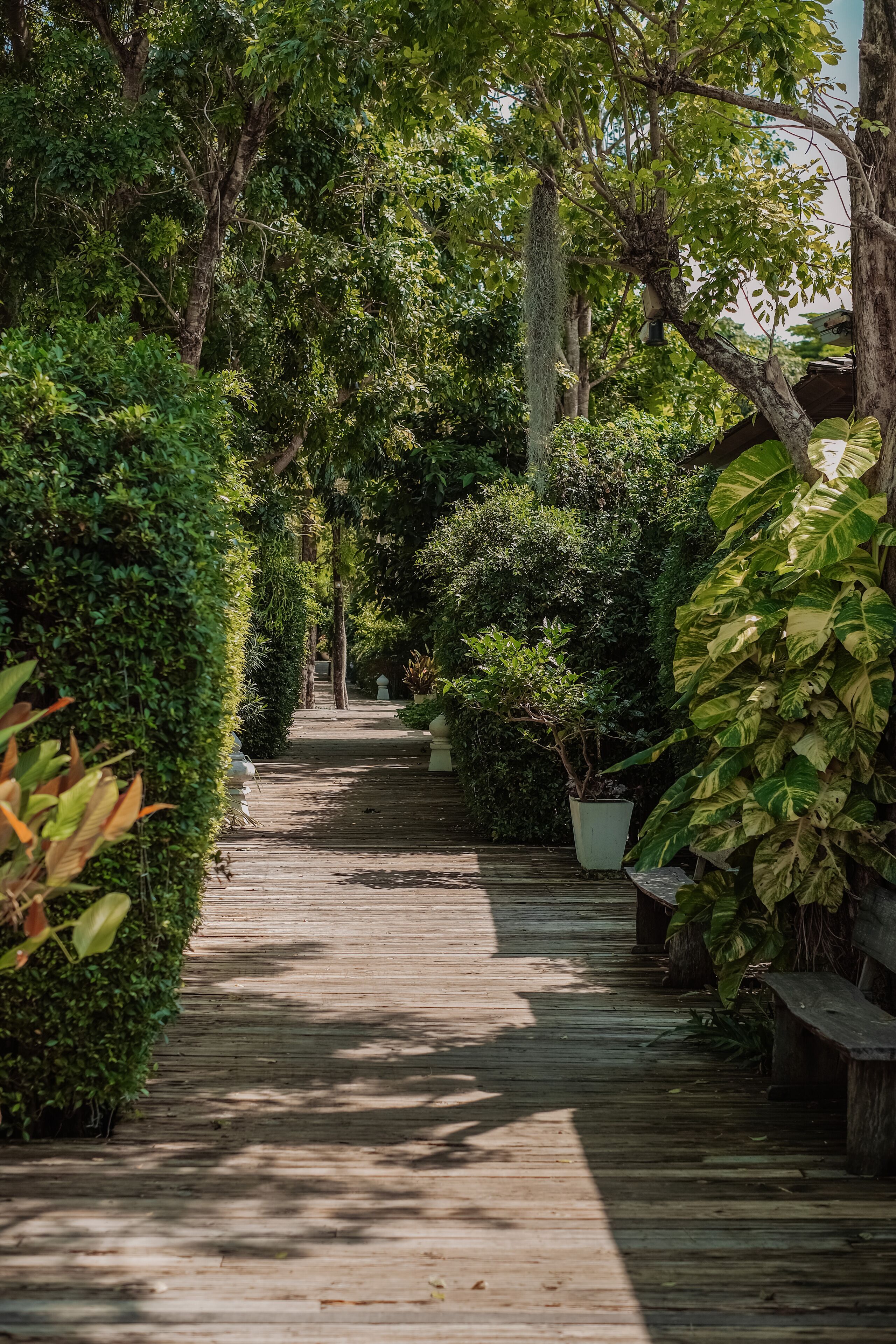Foto - Tango Luxe Beach Villa, Koh Samui