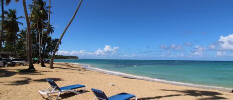Ein Strand mit zwei blauen Liegestühlen und Palmen.