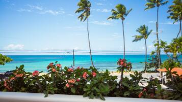 A beach view with palm trees and a clear sky.
