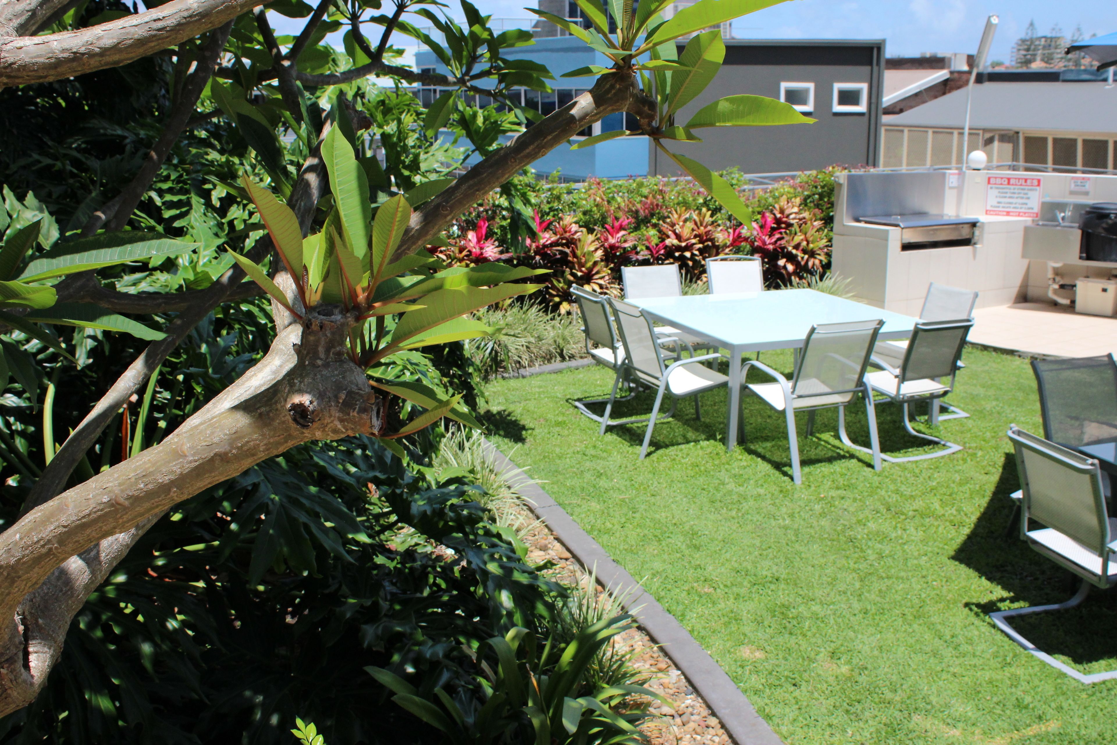 Blue C Coolangatta — image 21