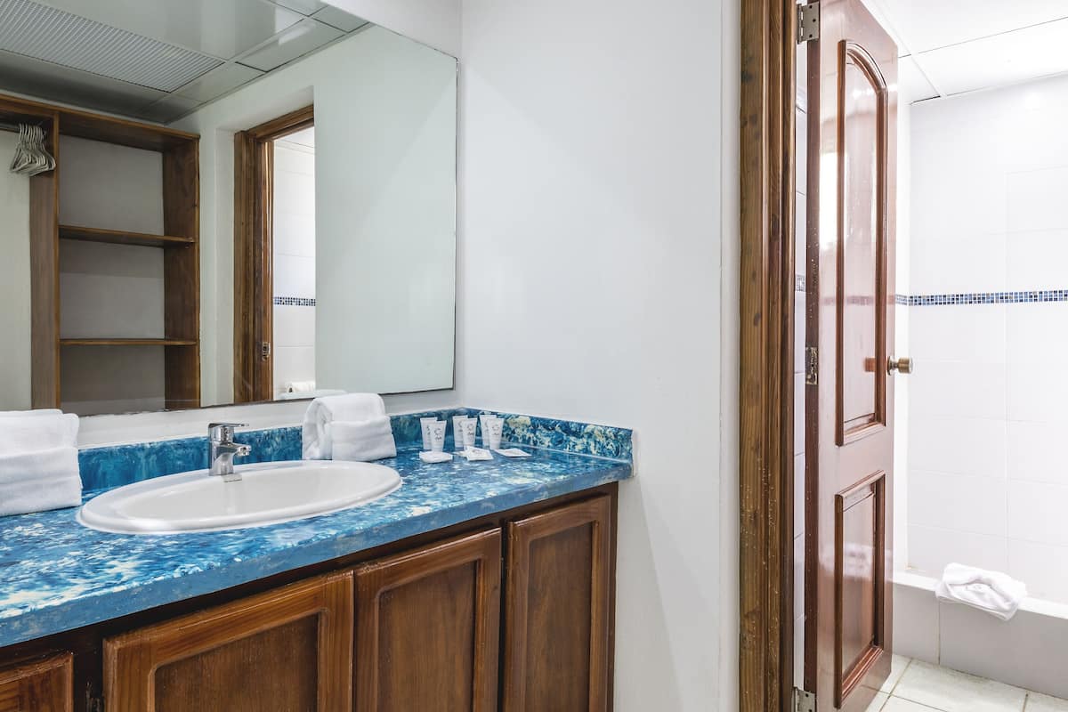 standard | bathroom | free toiletries, hair dryer, towels