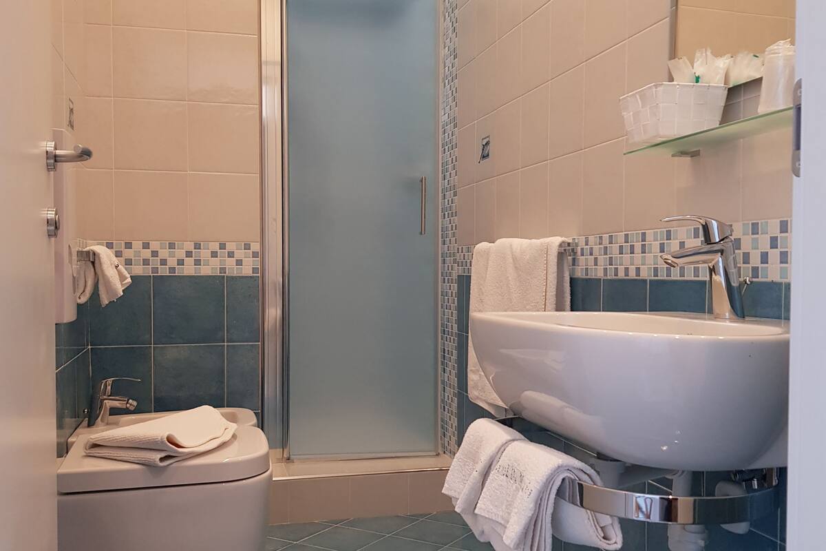 shower, free toiletries, hair dryer, towels