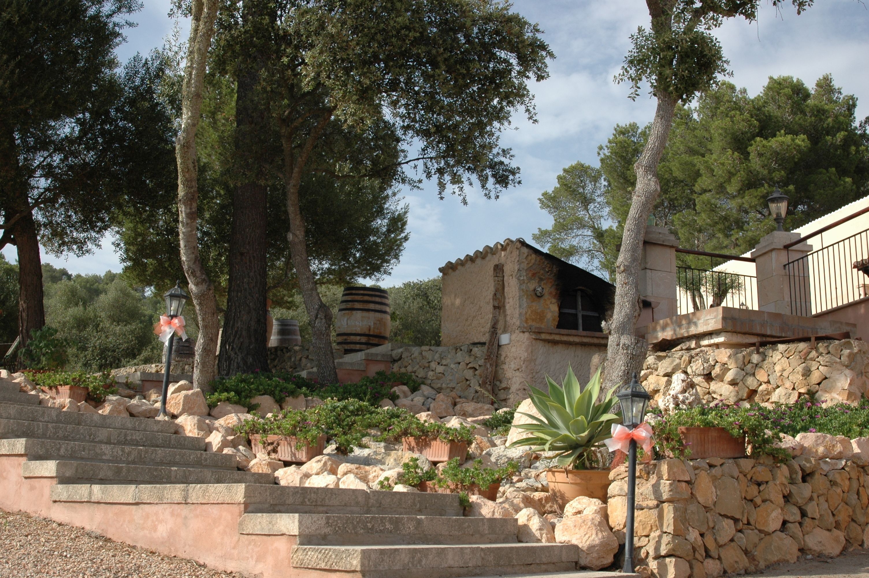 Khuôn viên nơi lưu trú