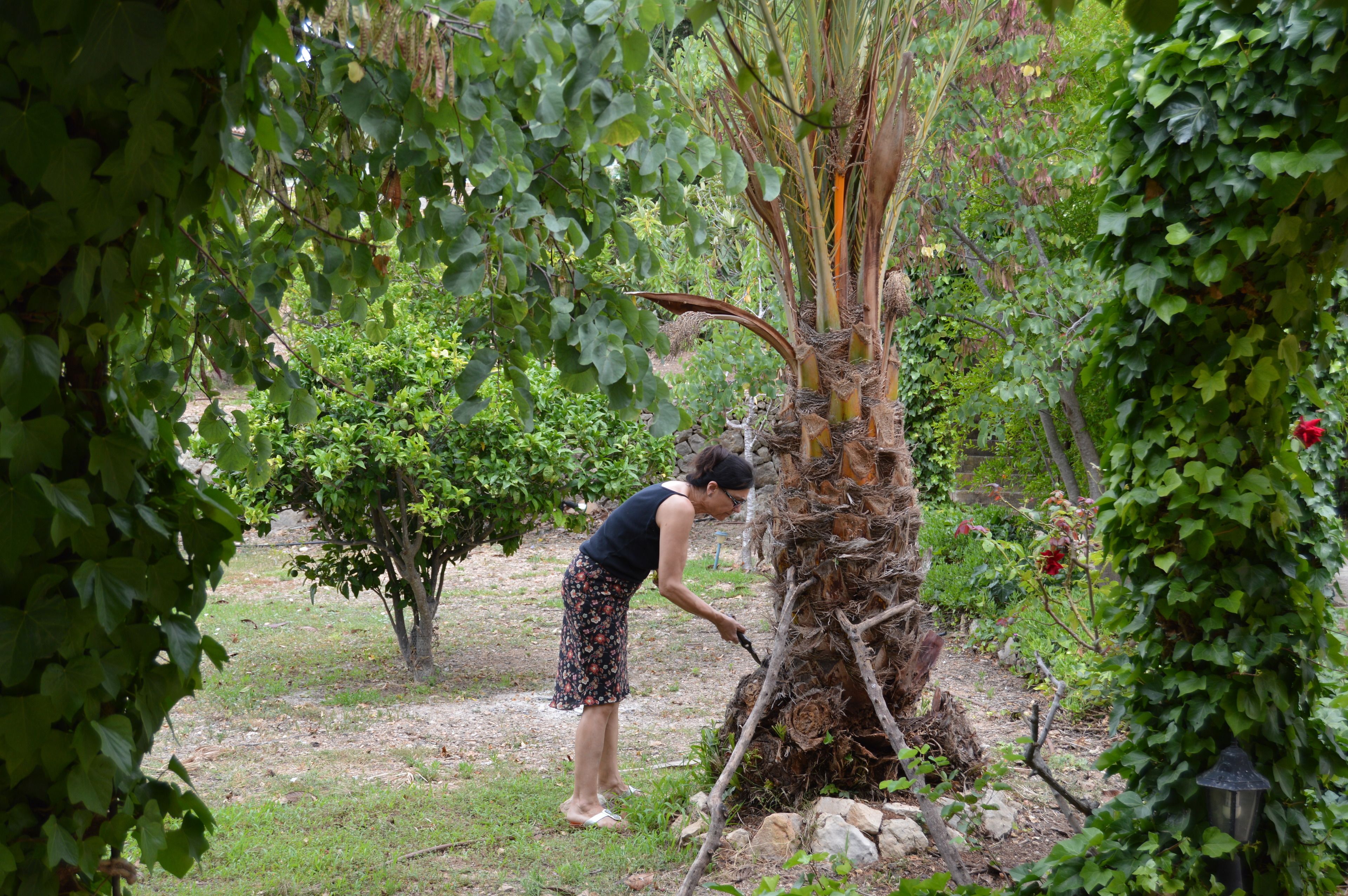 Foto - Agroturisme Son Samà