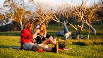 BBQ/picnic area