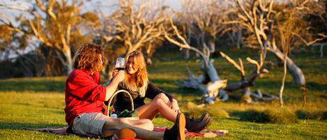 Two people sitting on a blanket in a grassy area with trees in the background.