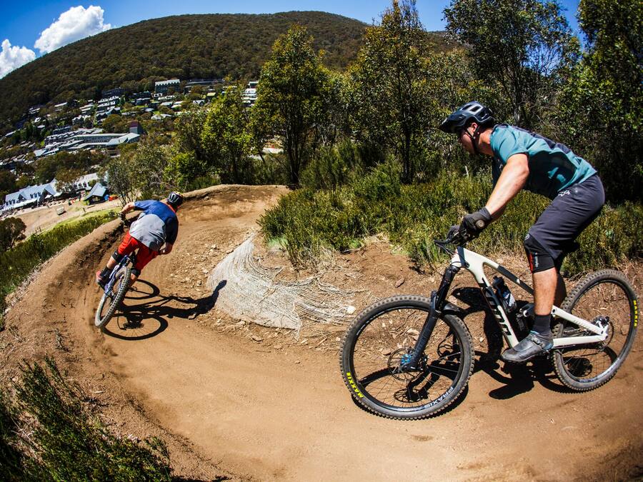 A mountain biking trail with a dirt path, surrounded by trees and a view of a town in the background.