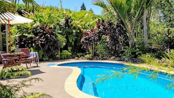 Outdoor pool, sun loungers