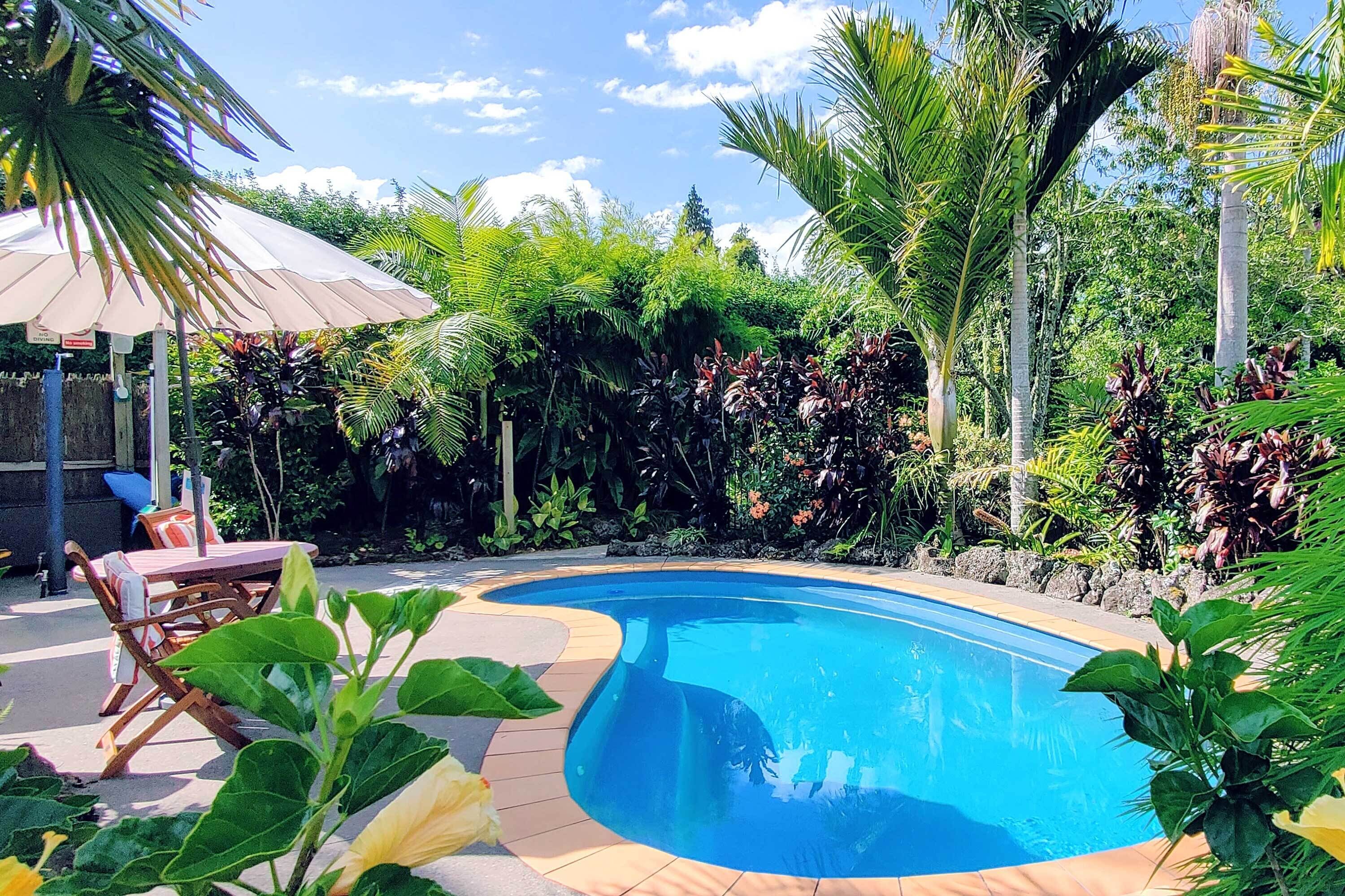 Outdoor pool, pool loungers