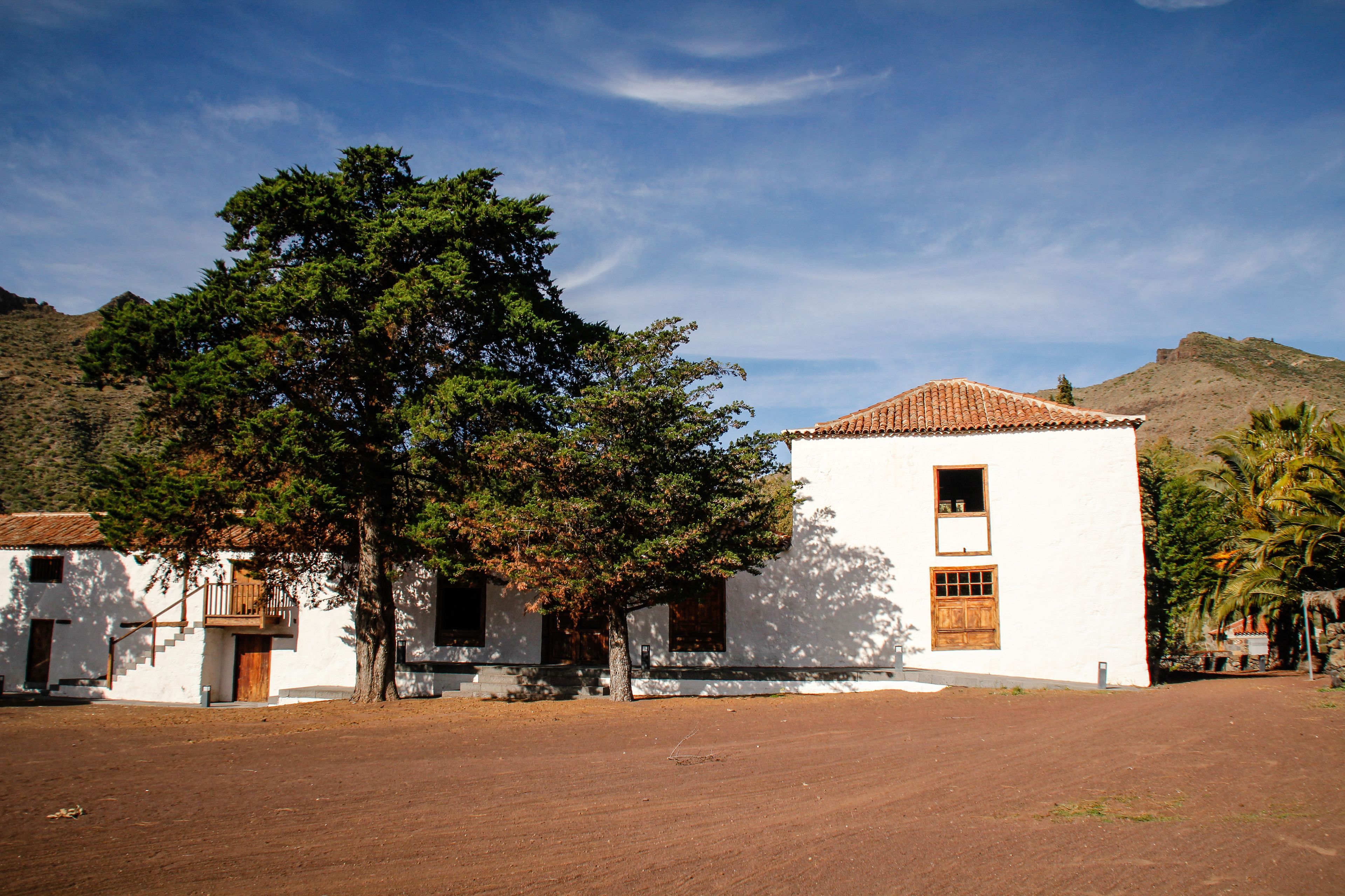 A white building with a tiled roof and a large tree in front.