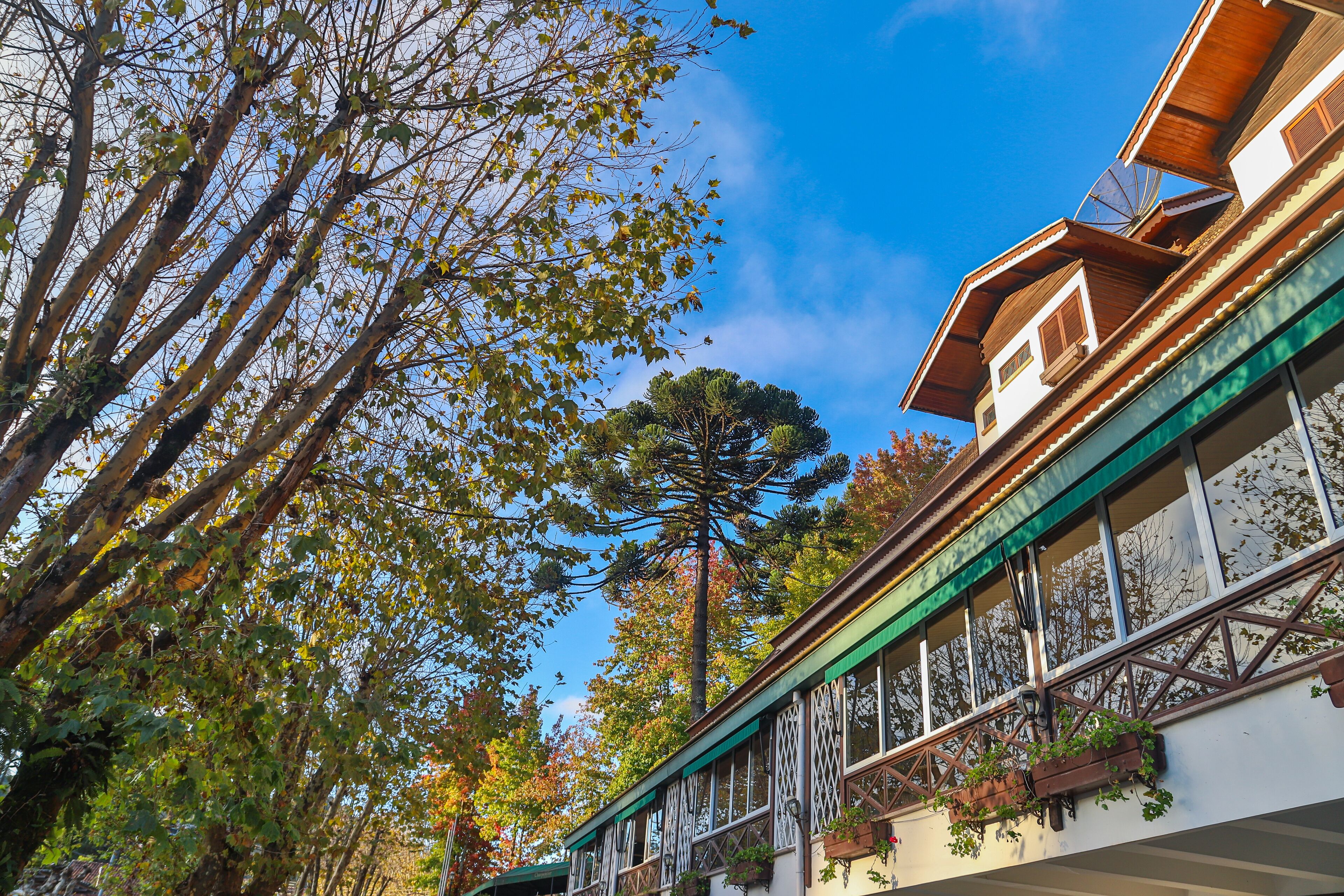 Photo - Le Suisse Elegance Hotel