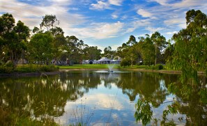 A serene lakeside view with a fountain, surrounded by lush greenery and a clear sky.