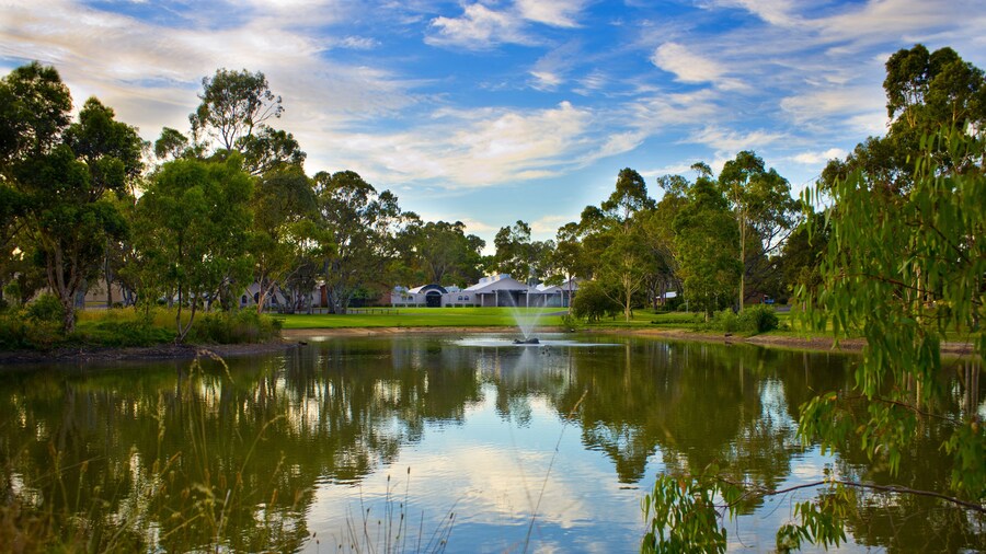 Serafino McLaren Vale