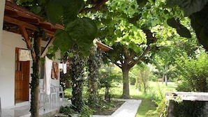 Un espacio exterior cubierto con un sendero de piedra, una pérgola con plantas trepadoras y vistas a un jardín exuberante.