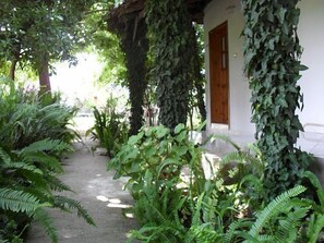 Un sendero rodeado de abundante vegetación y un edificio con puerta de madera.