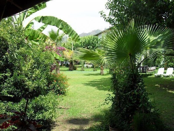 A lush garden with a variety of plants and a palm tree in the foreground.