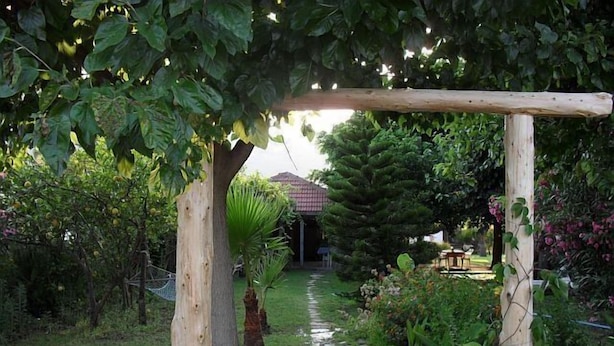 Un sendero de jardín conduce a una casa con techo rojo, rodeada de exuberante follaje y una pérgola de madera.