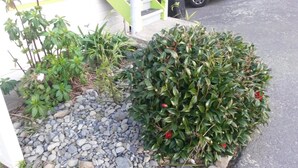 Property grounds - 747 Motel (Wellington)