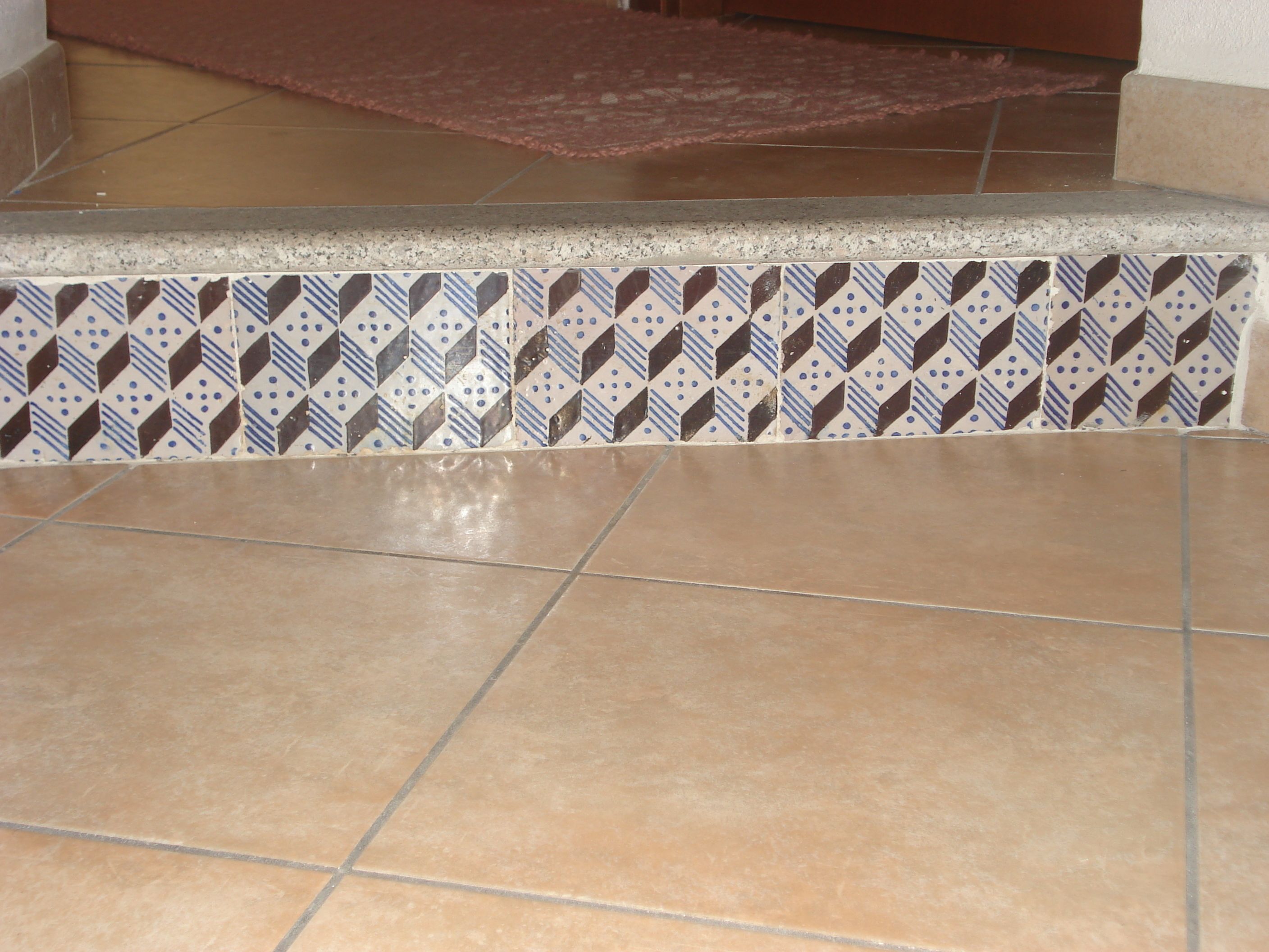 A tiled floor with a geometric pattern and a raised, decorative border.