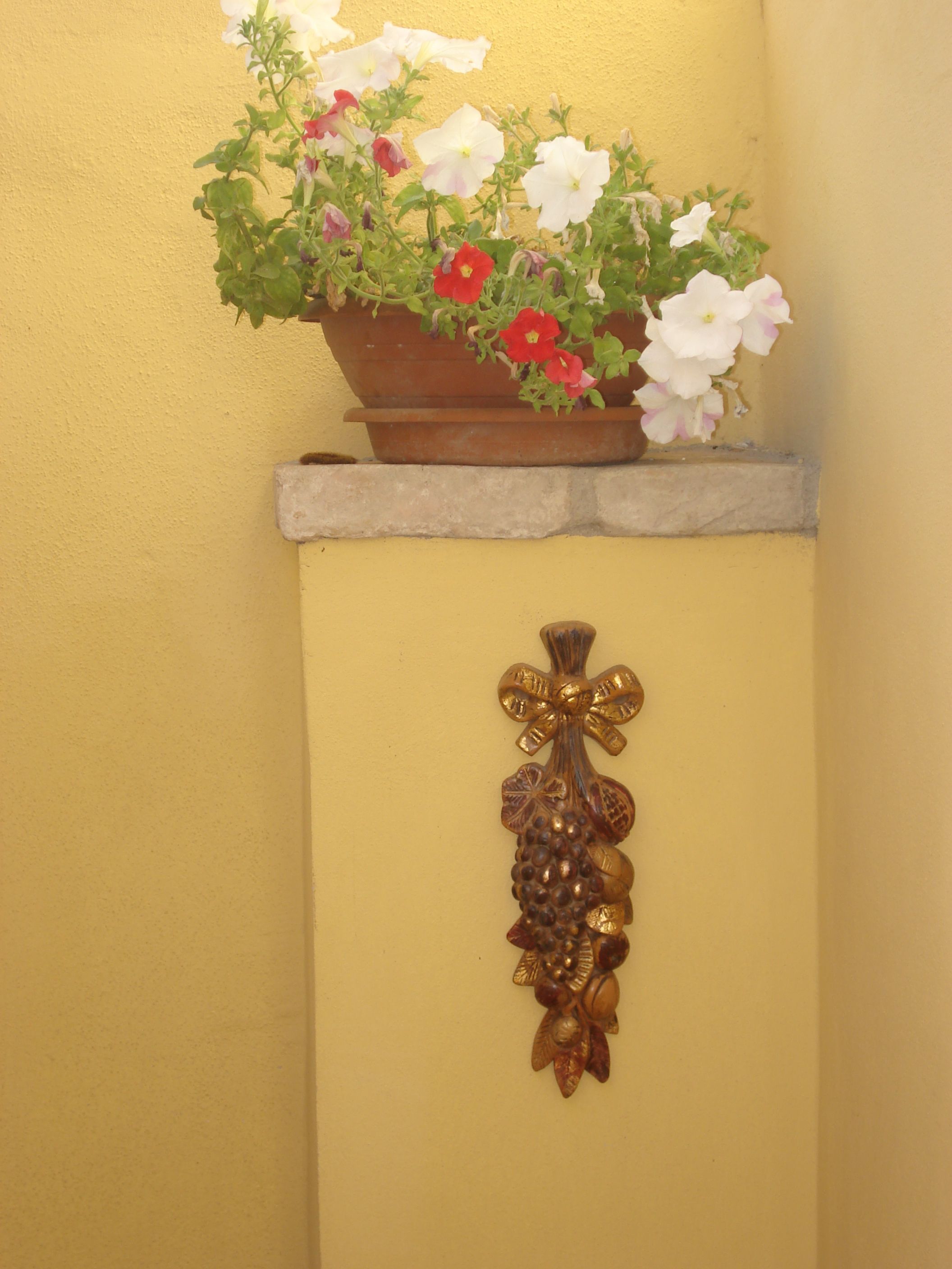 En potteplante med hvide og røde blomster står på en hylde foran en gul væg. Under hylden er der en dekorativ vægdekoration med druer og et sløjfe.