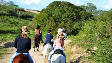 A group of people riding horses on a dirt path surrounded by greenery.