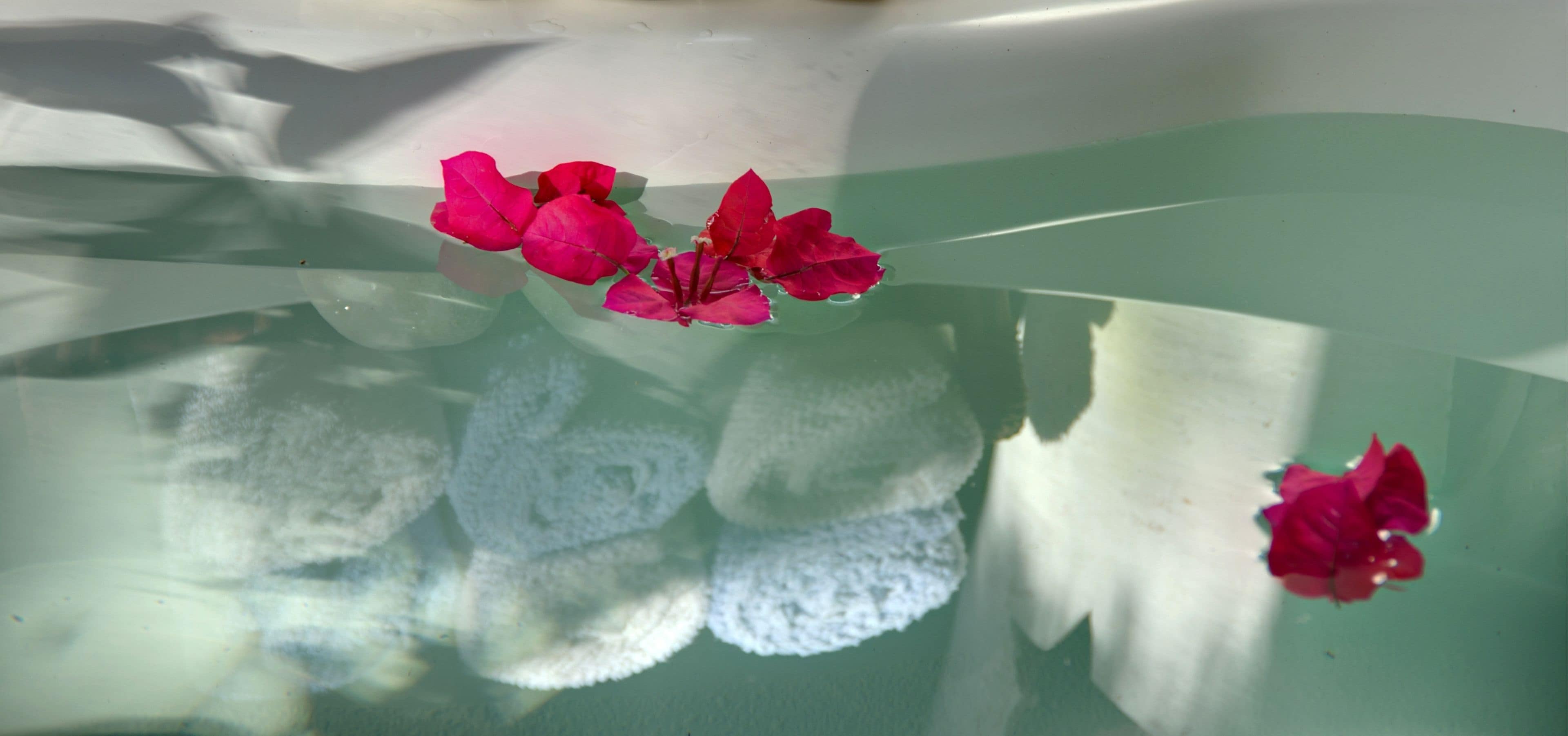 Una superficie de vidrio transparente con reflejos de flores rosadas y un objeto blanco.