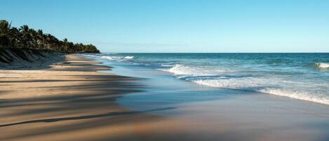 Una playa con arena, palmeras y el océano.