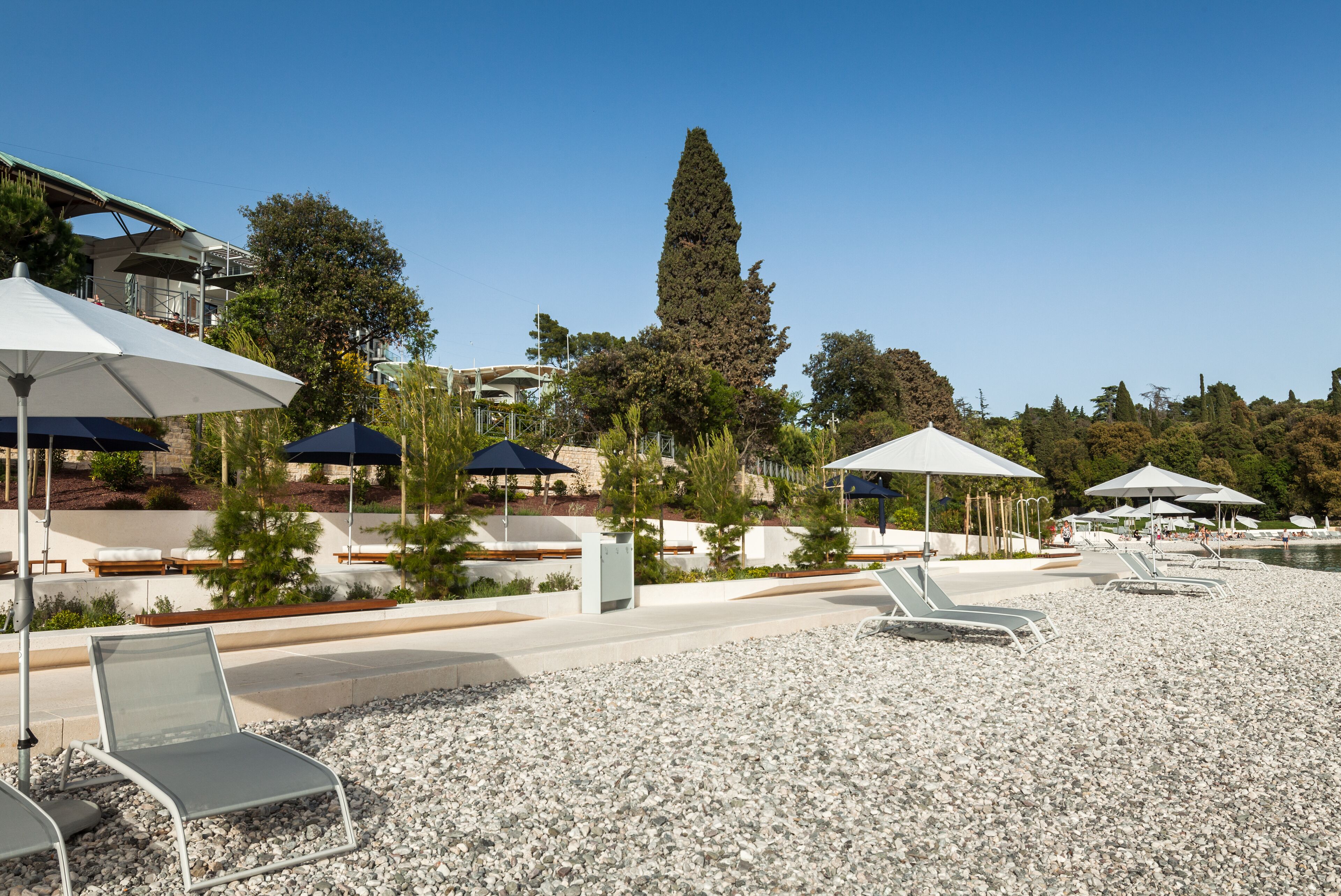 A beachside resort with lounge chairs and umbrellas, a tall tree, and a clear sky.