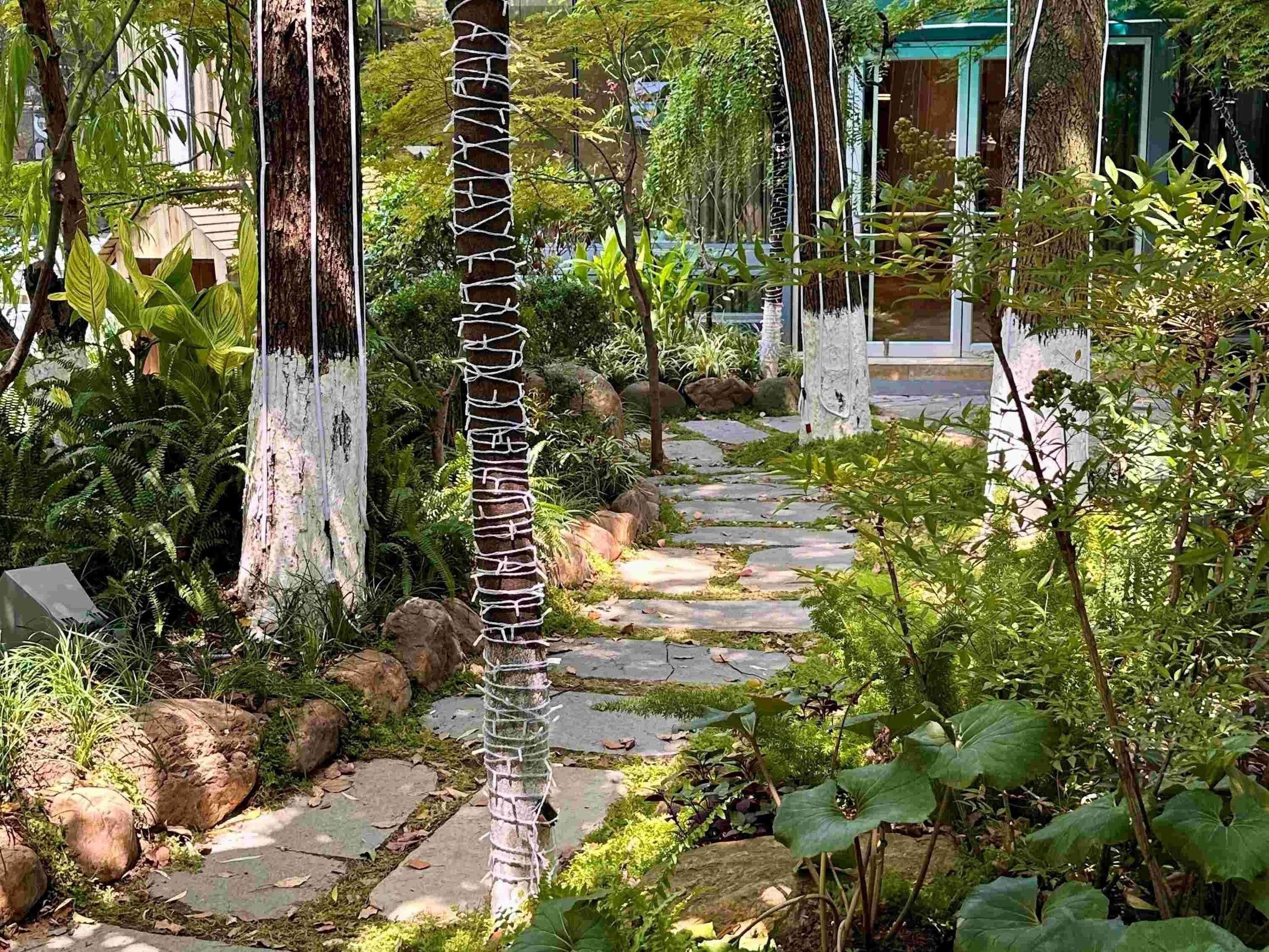 A garden pathway with stone steps, surrounded by various plants and trees.