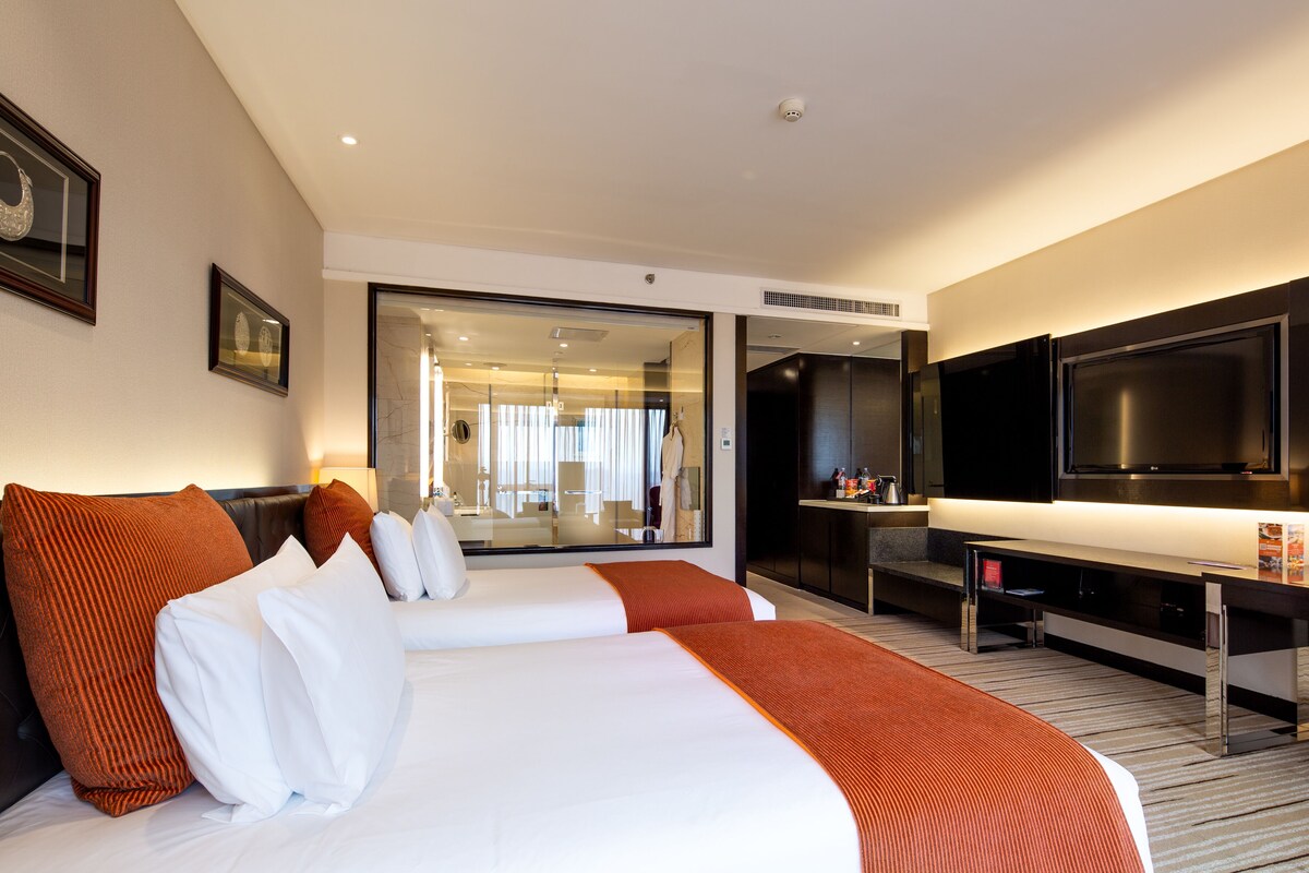 Habitación de hotel con dos camas, un televisor y un espejo grande.