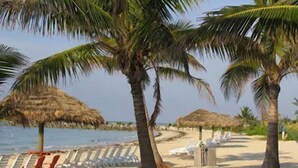 A beach with palm trees, thatched umbrellas, and beach chairs. - The Marlin at Taino Beach Resort & Clubs (Freeport)
