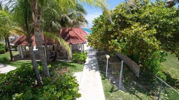 A pathway leading to a building with a red roof, surrounded by lush greenery and palm trees.