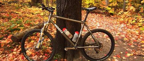 A bicycle parked against a tree in a forest with fallen leaves.