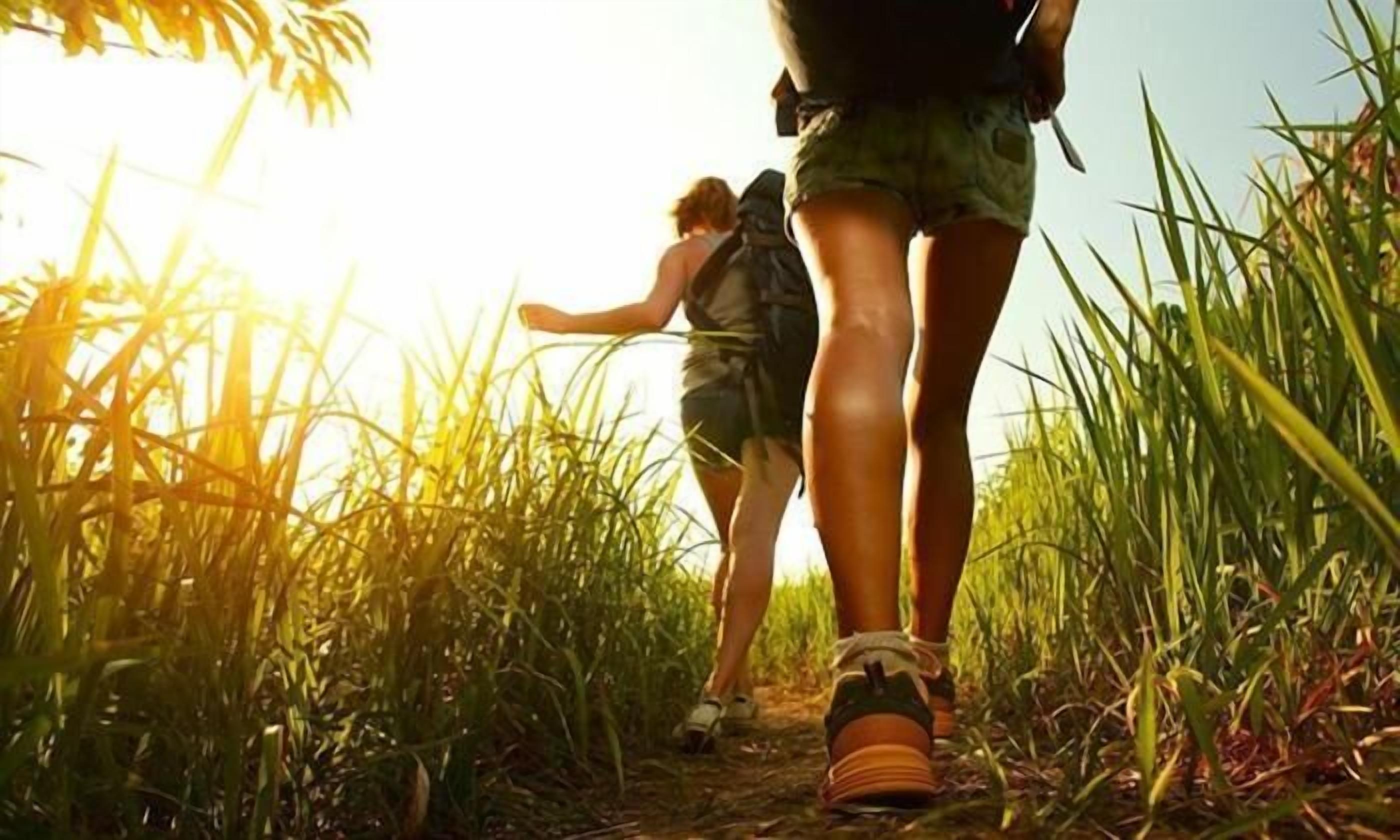 Two people hiking on a path surrounded by tall grass.