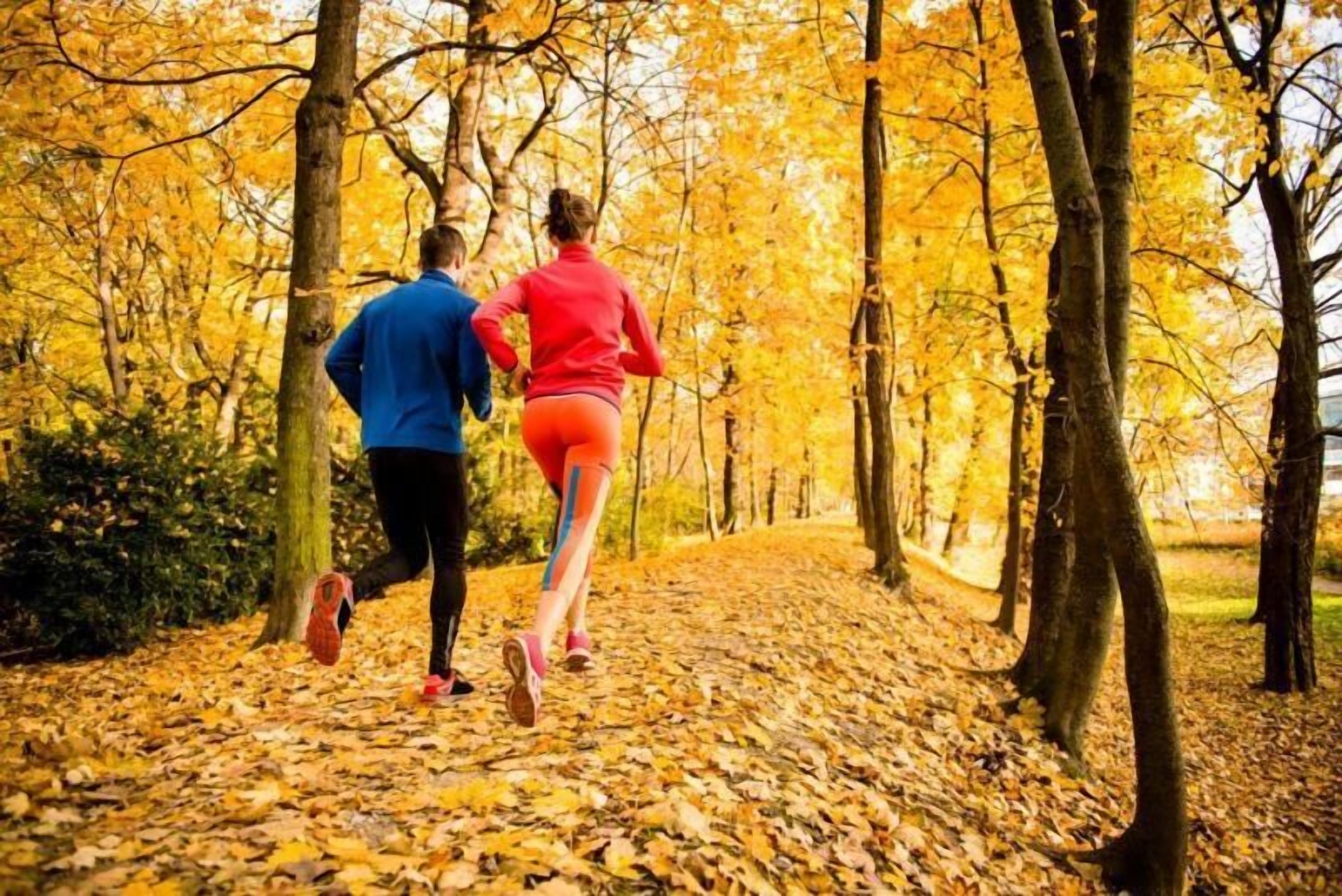 A couple jogging on a leaf-covered path in a park.