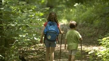 Due persone che camminano su un sentiero nel bosco.