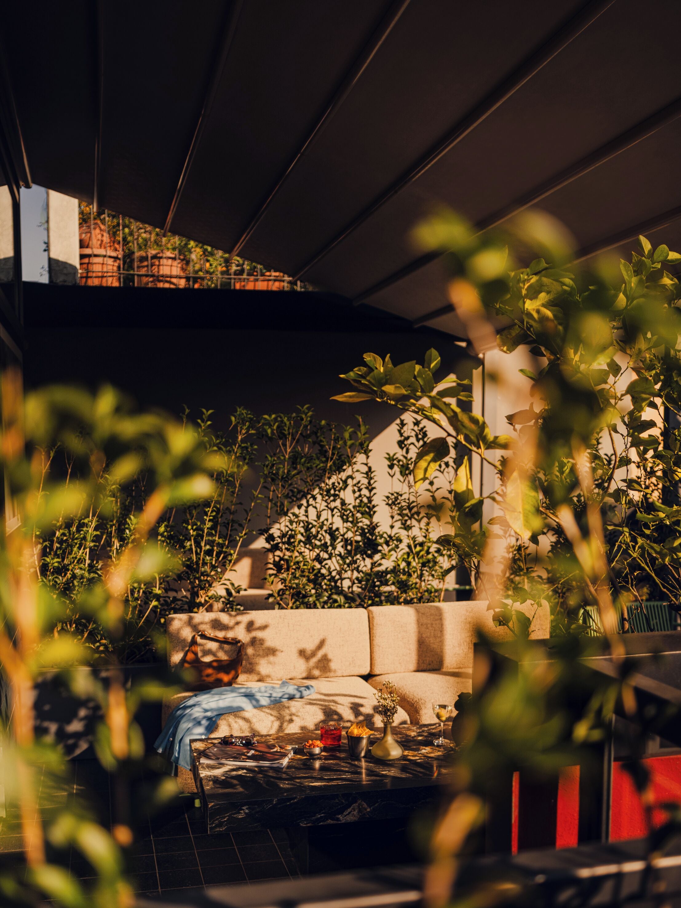 Un espace extérieur moderne aménagé avec un banc en pierre, une table en verre et une variété de plantes.
