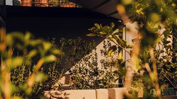 Un espace extérieur moderne aménagé avec un banc en pierre, une table en verre et une variété de plantes.