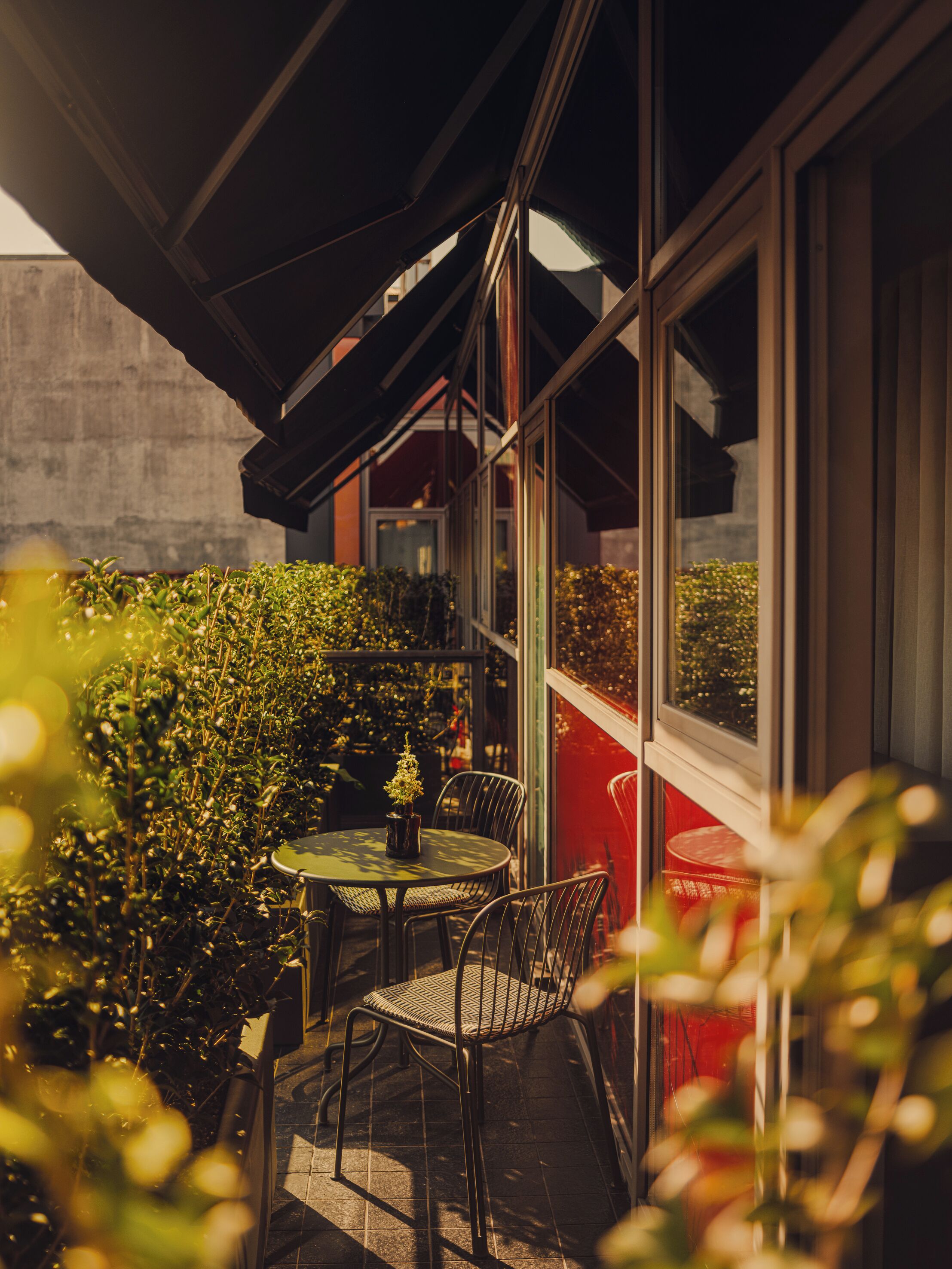 An outdoor seating area with a table and chairs, surrounded by greenery and a red wall.