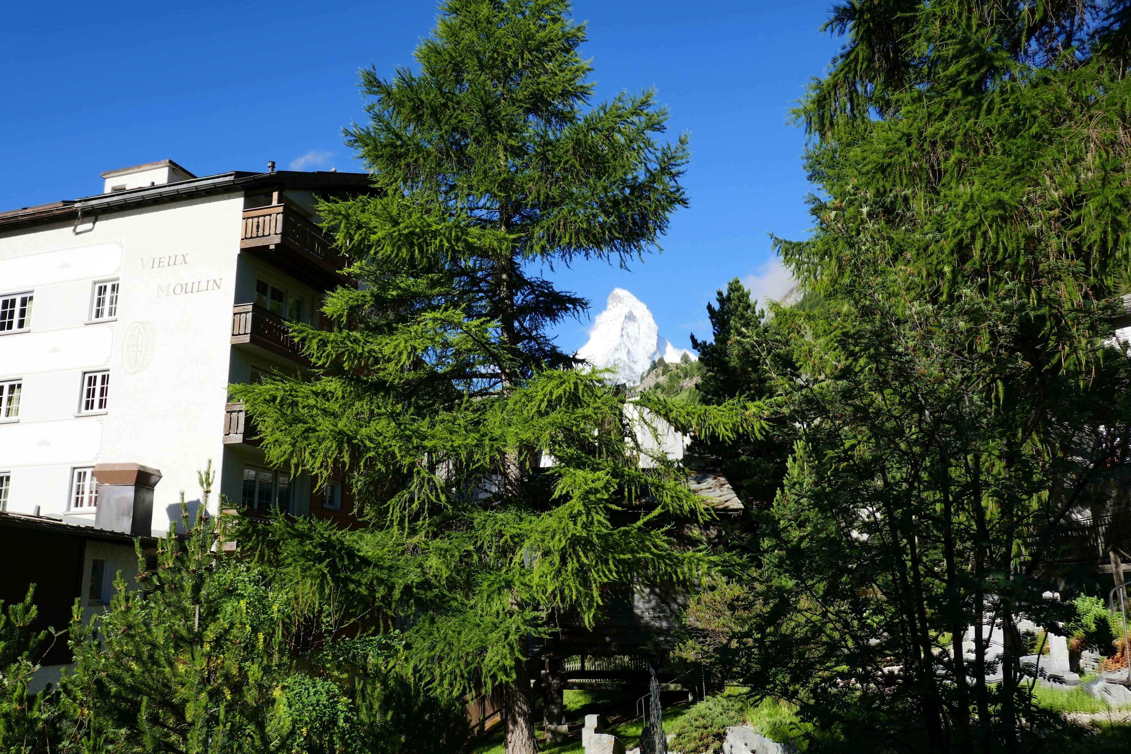 A building with "Vieux Moulin" signage, surrounded by dense greenery and a prominent mountain peak in the background.