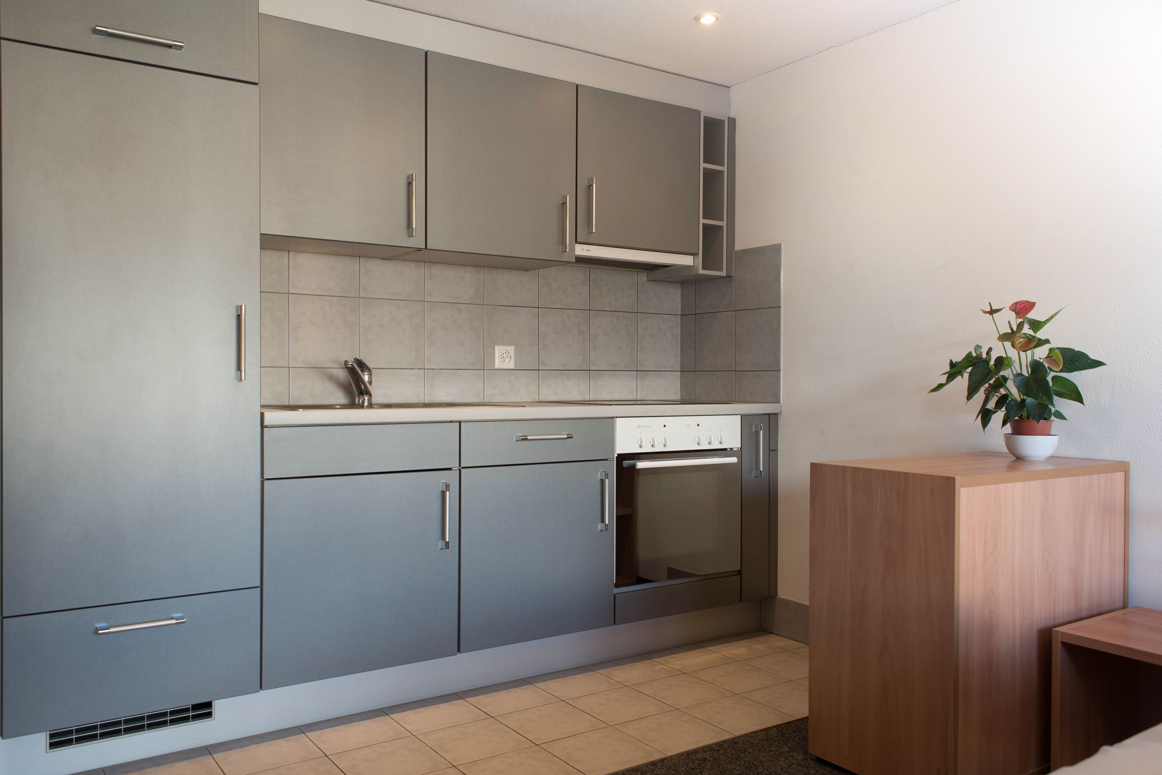 A modern kitchen with grey cabinets, a built-in oven, and a potted plant on a wooden side table.