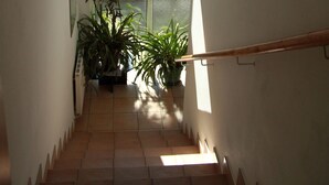 Una escalera con barandilla de madera, una planta en maceta y una ventana con vistas al exterior.