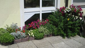 Un jardín con diversas plantas y flores frente a un edificio con marco de ventana blanco.