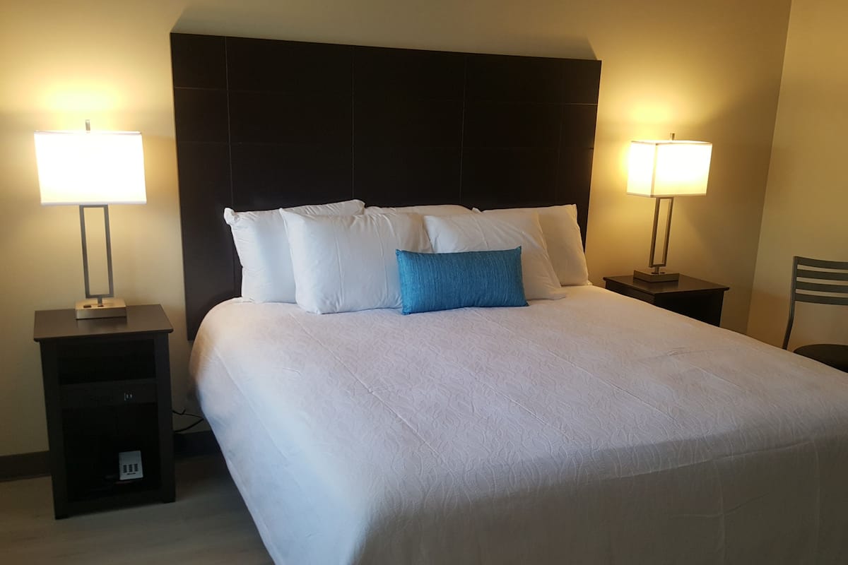 Standard Room, 1 King Bed, Non Smoking | Premium bedding, blackout drapes, iron/ironing board, free WiFi